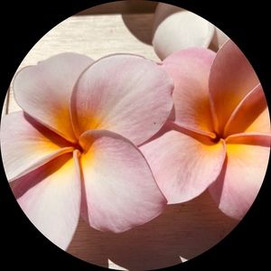 Meet your Posher, Sarina